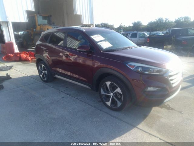 hyundai tucson 2017 km8j33a21hu355076