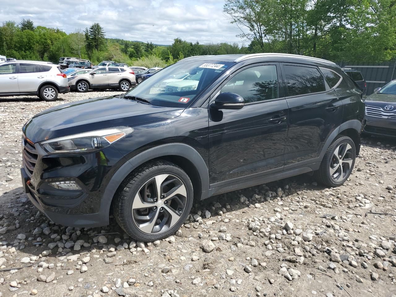 hyundai tucson 2016 km8j33a22gu054640