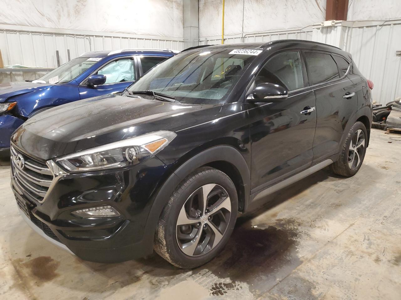 hyundai tucson 2017 km8j33a27hu303631