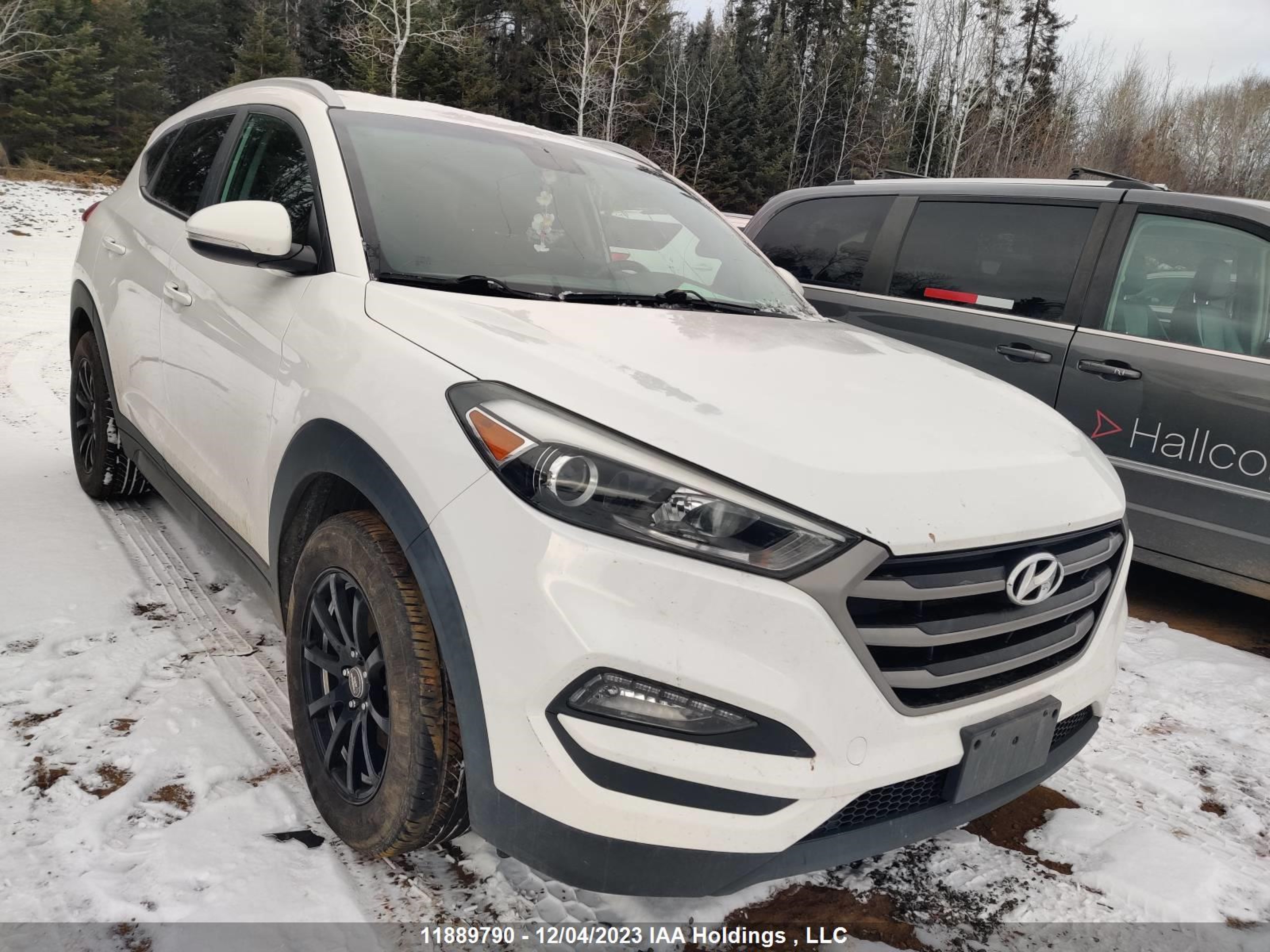 hyundai tucson 2016 km8j33a42gu062769