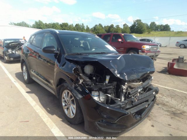 hyundai tucson 2017 km8j33a44hu272226