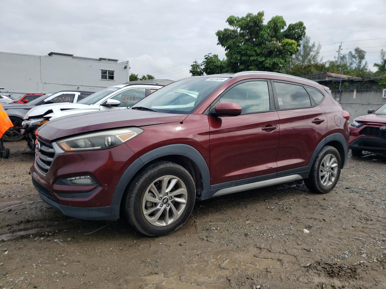 hyundai tucson 2017 km8j33a45hu259422