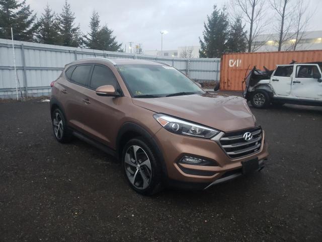 hyundai tucson 2016 km8j3ca26gu076964