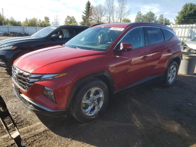 hyundai tucson sel 2022 km8jb3ae5nu045702