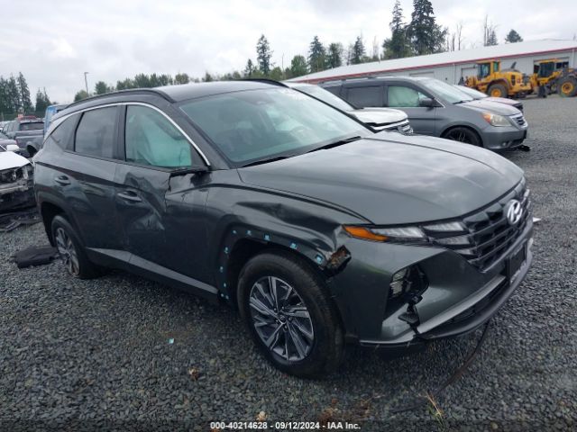 hyundai tucson 2023 km8jbca15pu086086