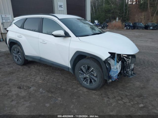 hyundai tucson 2023 km8jbca15pu087027