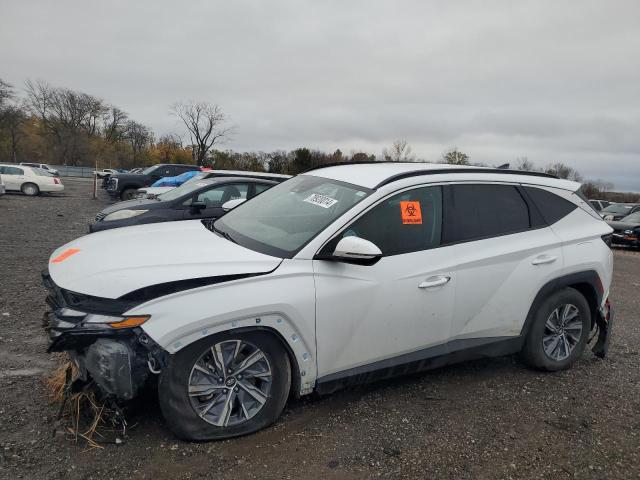 hyundai tucson blu 2023 km8jbca15pu116879