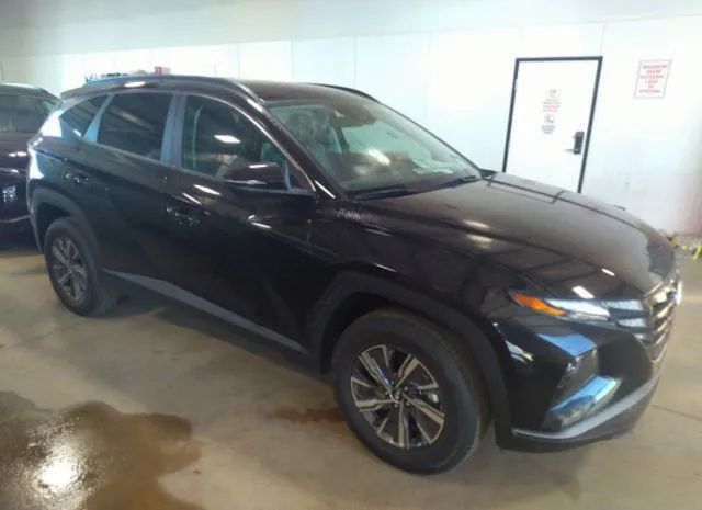 hyundai tucson hybrid 2023 km8jbca17pu135031