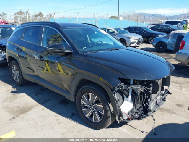 hyundai tucson hybrid 2023 km8jbca18pu087944