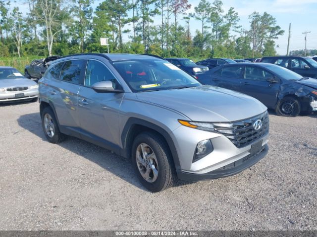 hyundai tucson 2023 km8jbcaexpu184128