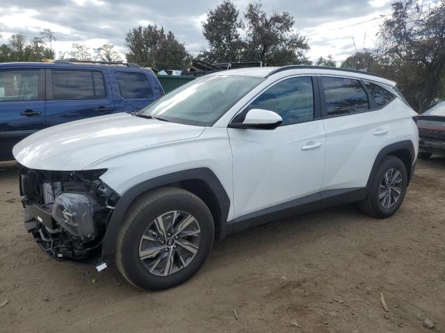 hyundai tucson blu 2024 km8jbcd16ru194926