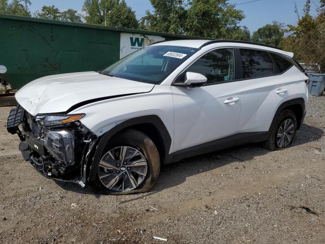 hyundai tucson blu 2024 km8jbcd18ru195267