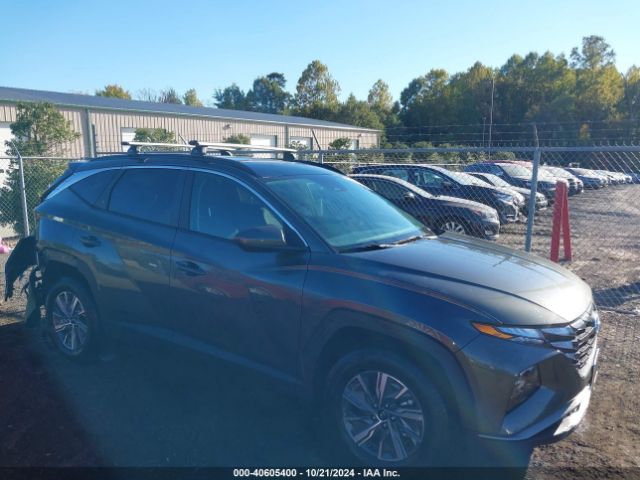 hyundai tucson 2024 km8jbcd1xru206446