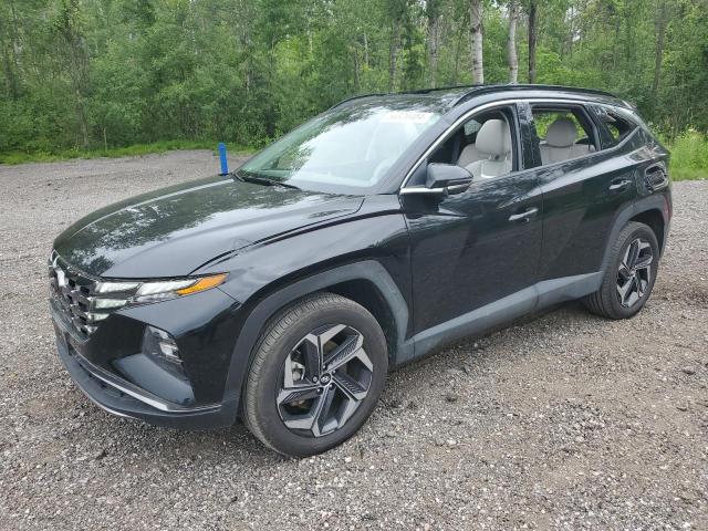 hyundai tucson lux 2023 km8jcca10pu117404