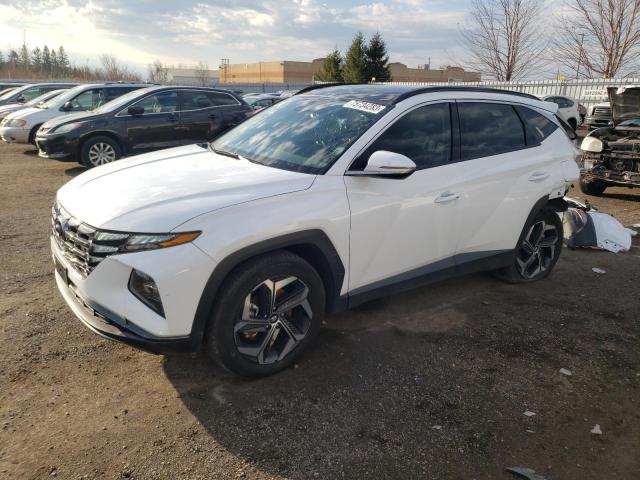 hyundai tucson 2023 km8jcca12pu115850