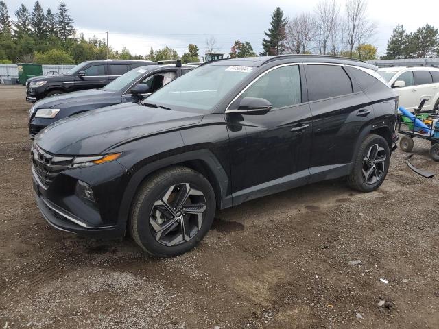 hyundai tucson lux 2022 km8jcca13nu044252