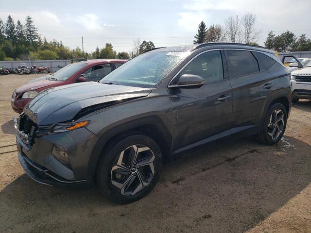 hyundai tucson lux 2022 km8jcca14nu015147