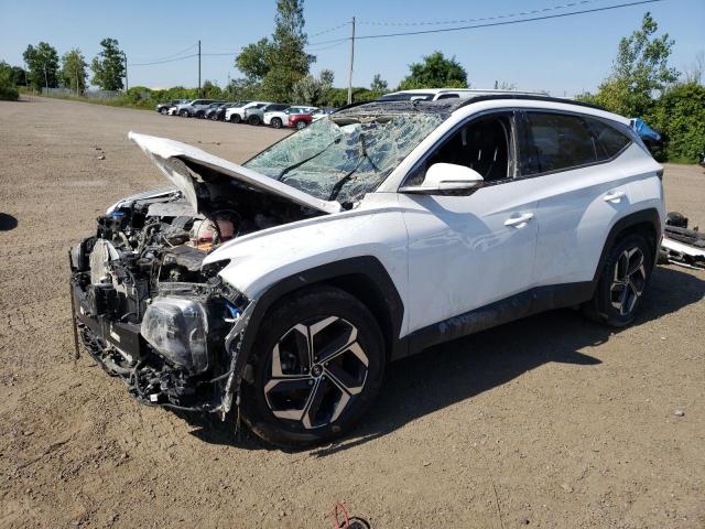 hyundai tucson lux 2022 km8jcca15nu082761