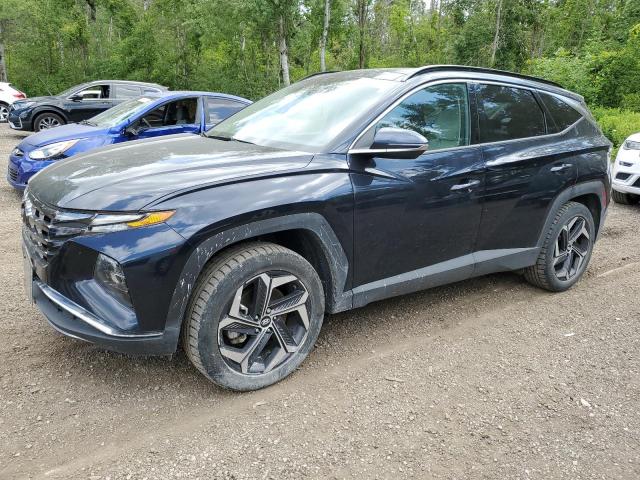 hyundai tucson lux 2023 km8jcca15pu107693