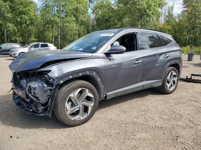 hyundai tucson lux 2023 km8jcca16pu104155