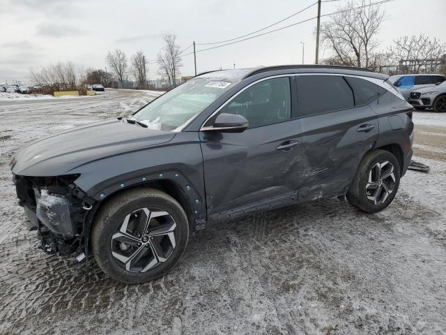 hyundai tucson lux 2023 km8jcca19pu100374