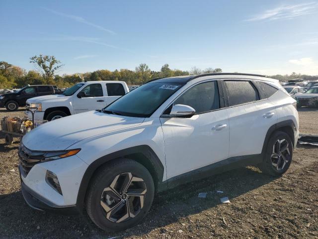 hyundai tucson lim 2022 km8jeca13nu083420