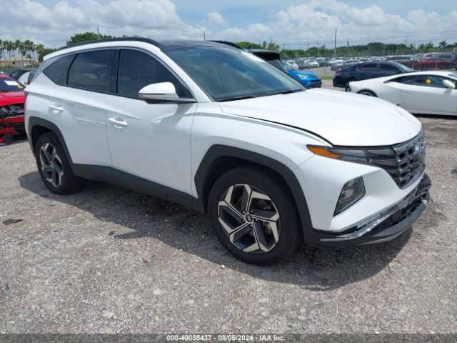 hyundai tucson 2023 km8jeca13pu126379