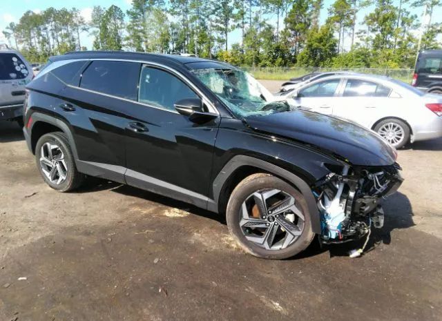 hyundai tucson hybrid 2022 km8jeca16nu031036