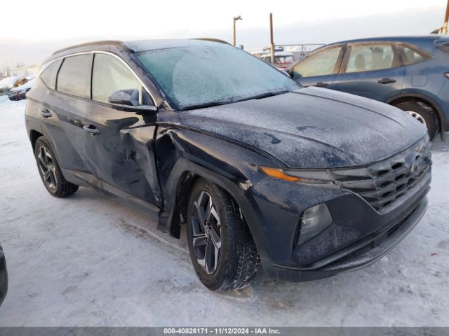 hyundai tucson 2024 km8jecd14ru202514