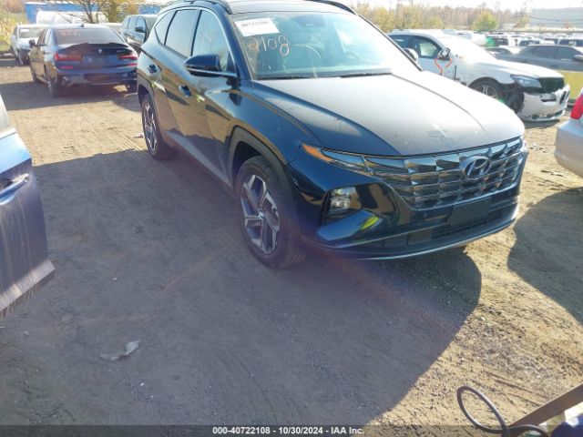 hyundai tucson 2024 km8jecd1xru230141