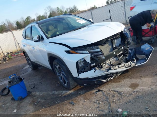 hyundai tucson hybrid 2023 km8jfca13pu113306