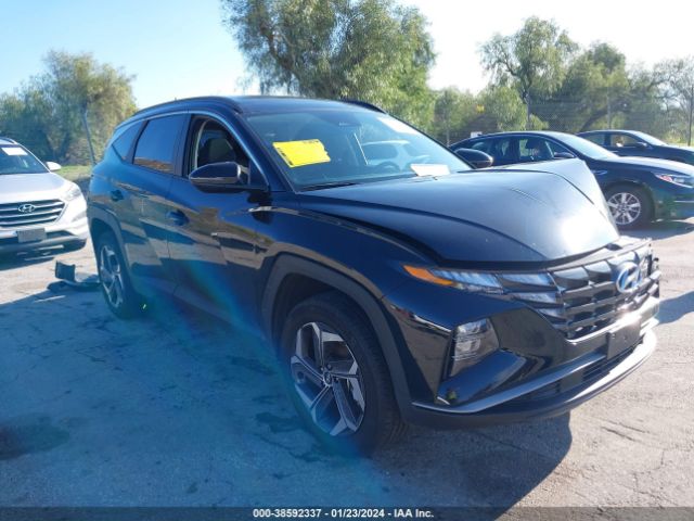 hyundai tucson hybrid 2023 km8jfca18pu110868