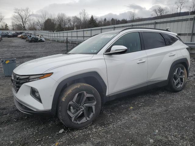 hyundai tucson 2023 km8jfda23pu105267