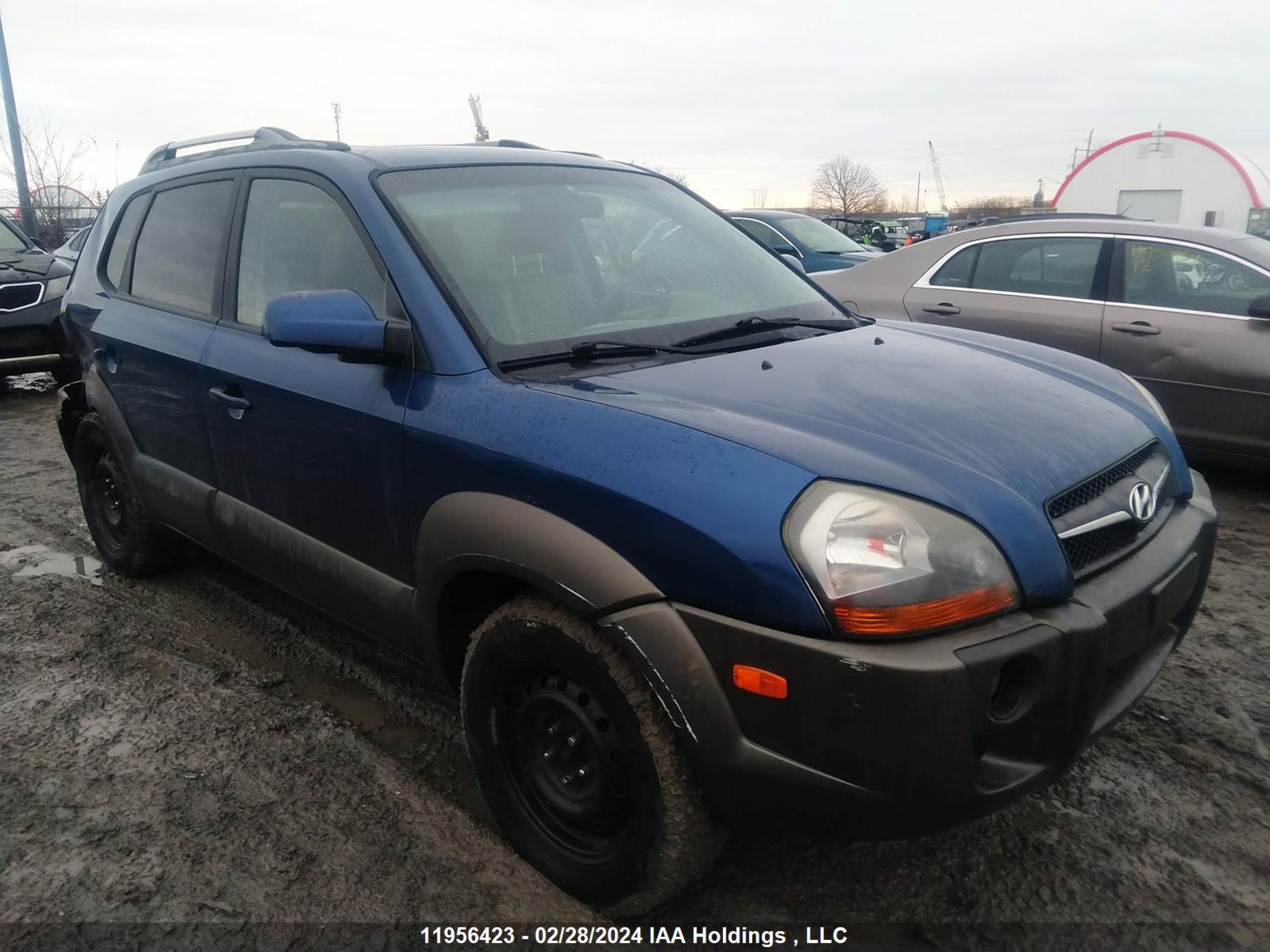 hyundai tucson 2009 km8jm72d49u173653