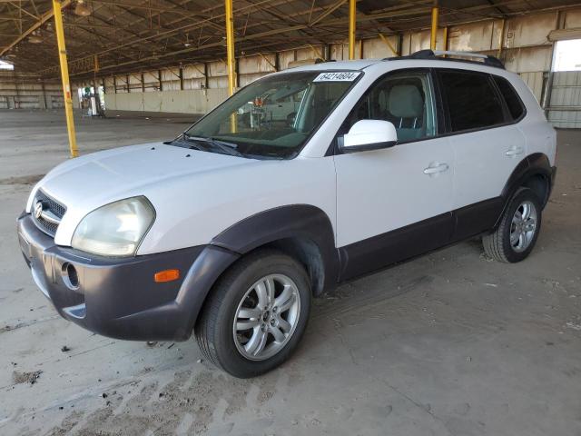 hyundai tucson 2006 km8jn12d96u314738