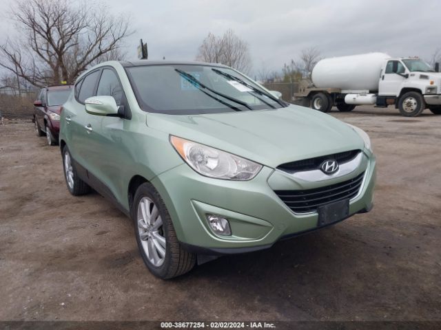 hyundai tucson 2010 km8ju3acxau017591