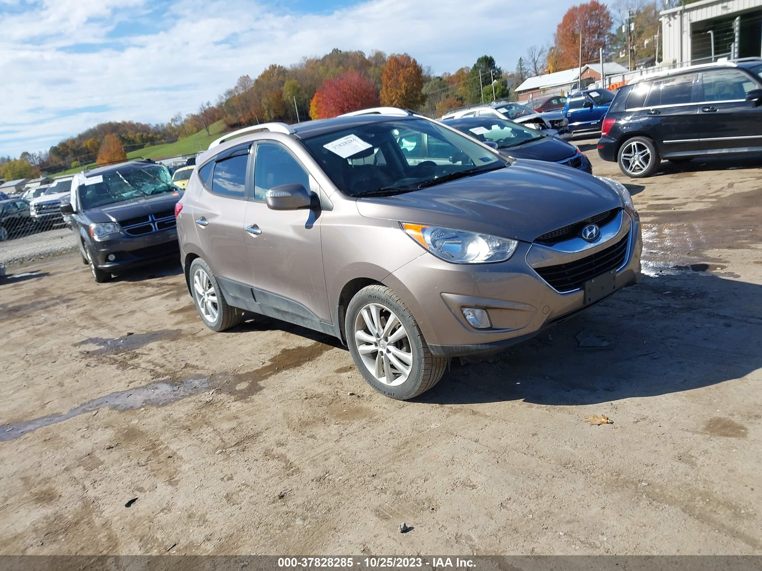 hyundai tucson 2011 km8jucac8bu271849