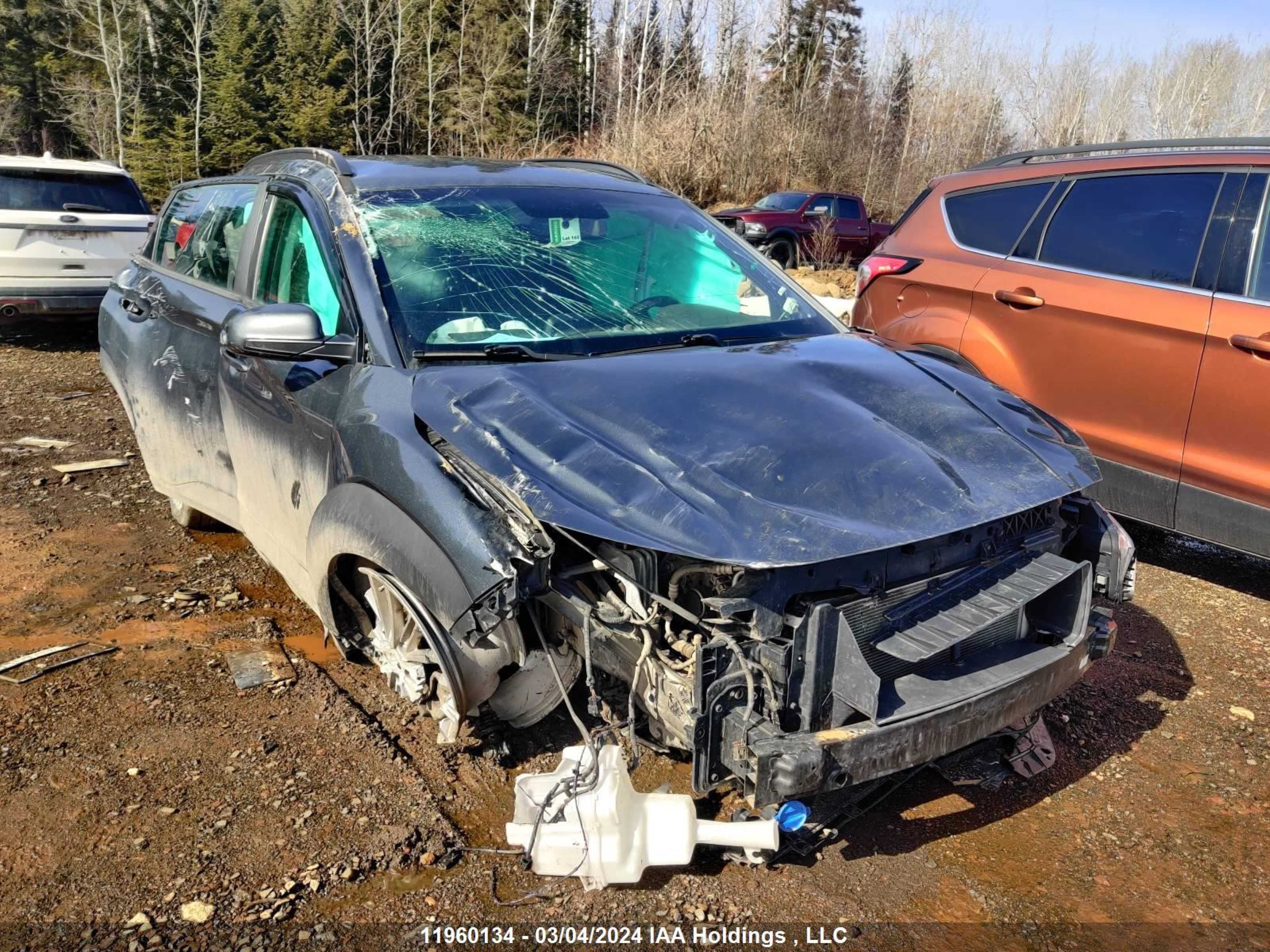 hyundai kona 2019 km8k2caa6ku315906