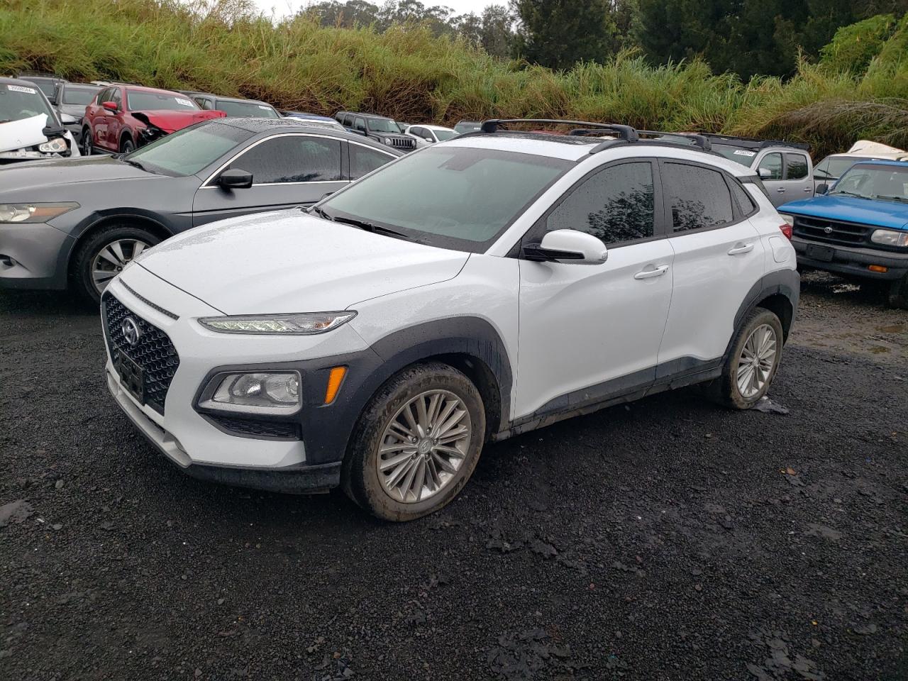 hyundai kona 2019 km8k6caa0ku356892