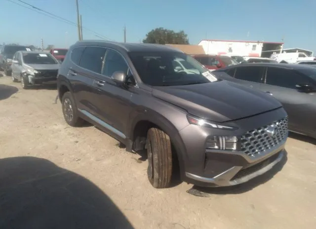 hyundai santa fe hybrid 2021 km8s2da13mu012560