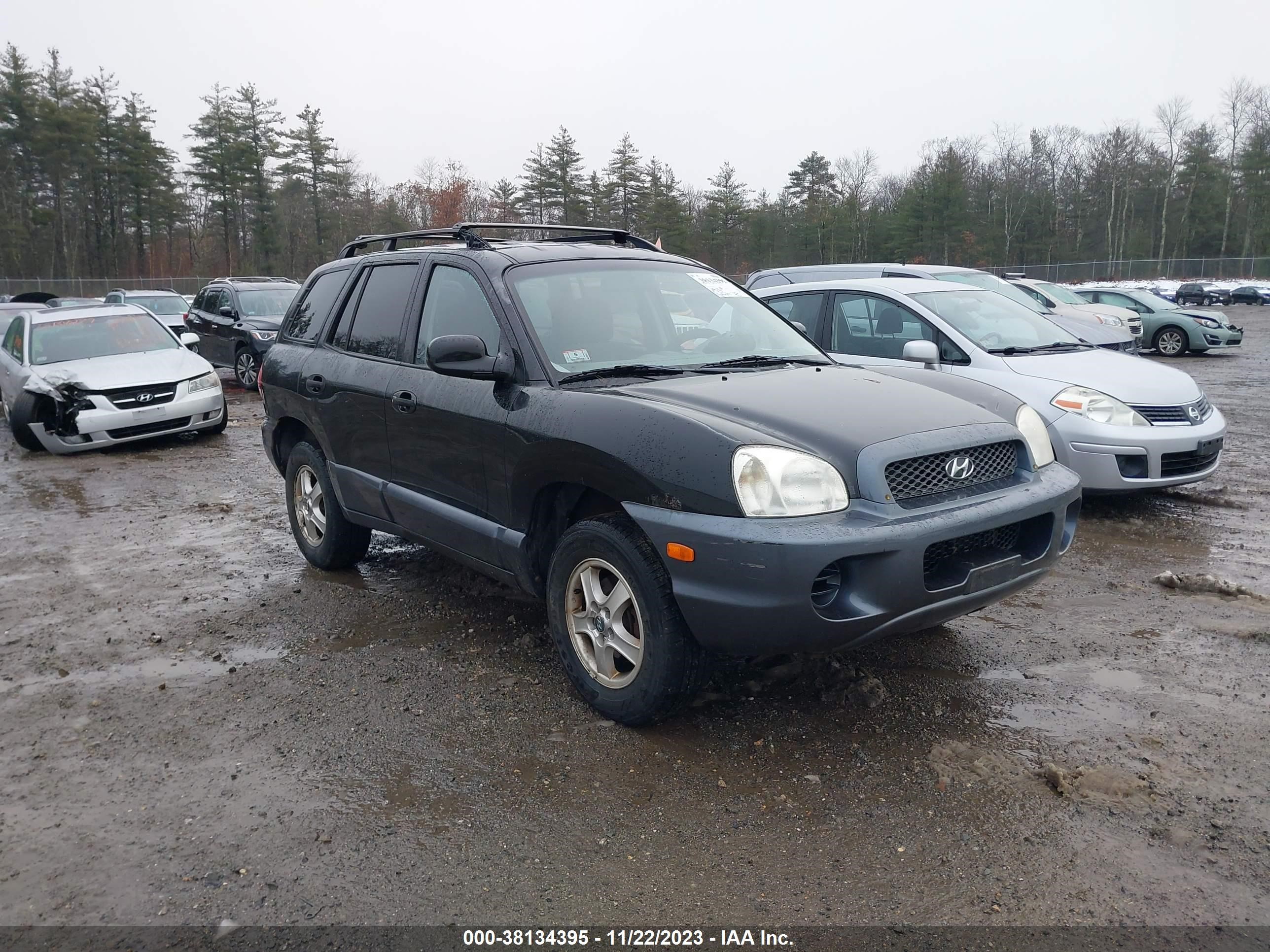 hyundai santa fe 2003 km8sb12b33u556397