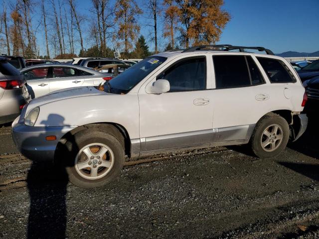 hyundai santa fe 2004 km8sb12bx4u813959