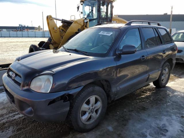 hyundai santa fe 2006 km8sb73d46u106135