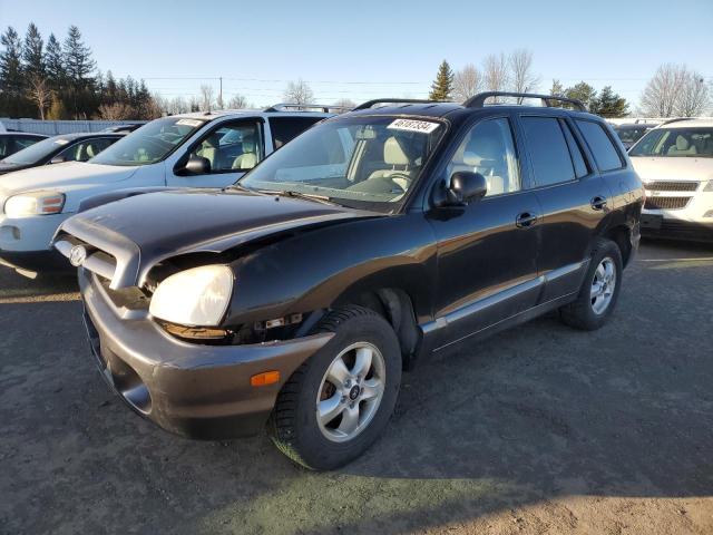 hyundai santa fe 2006 km8sb73d66u107139