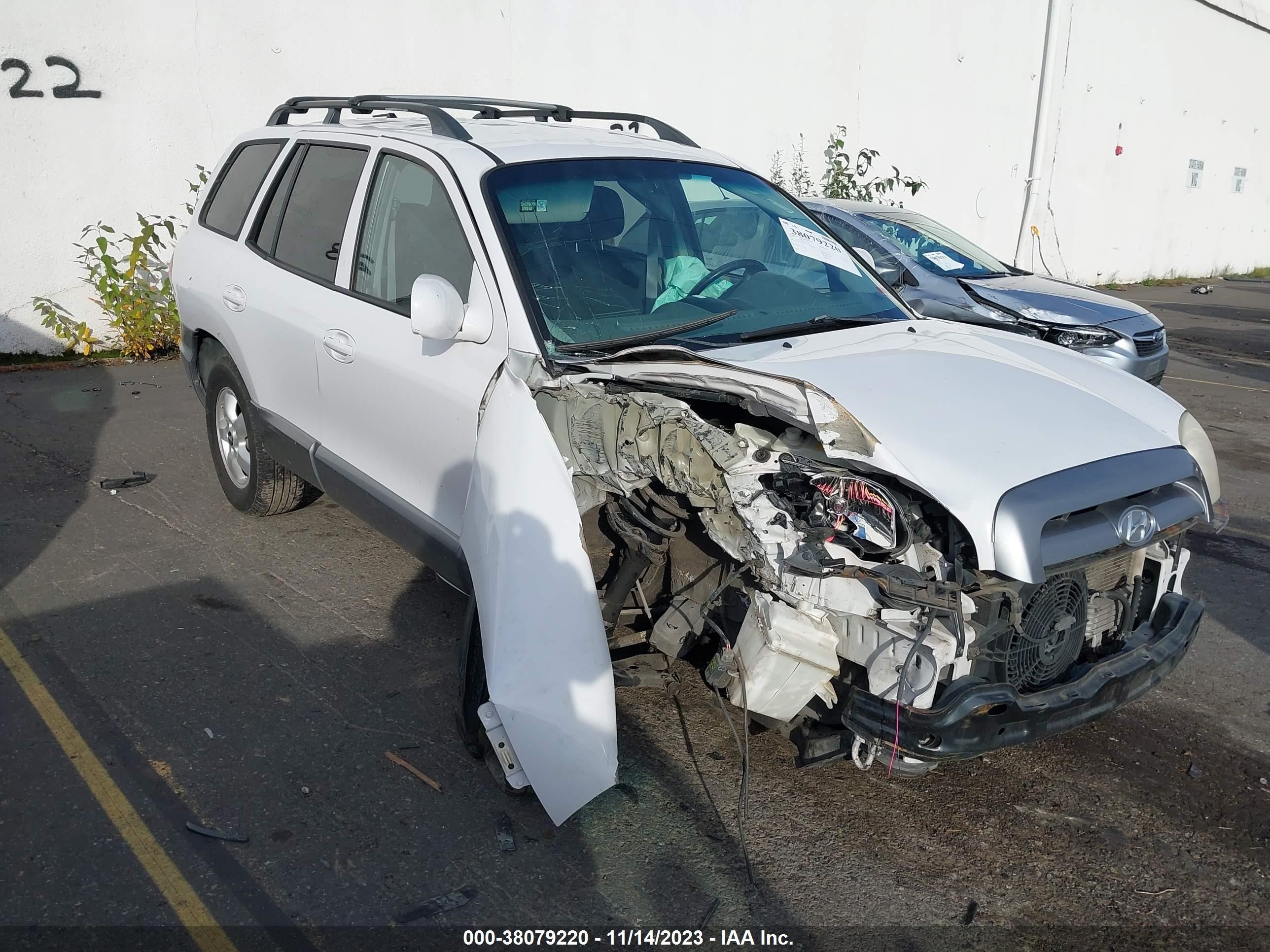 hyundai santa fe 2005 km8sc13d15u921322