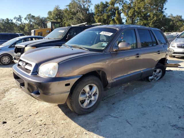 hyundai santa fe g 2005 km8sc13d35u955102