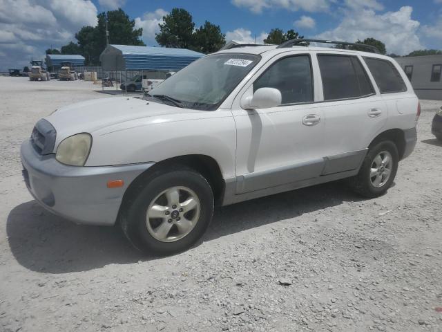 hyundai santa fe 2005 km8sc13d45u855641