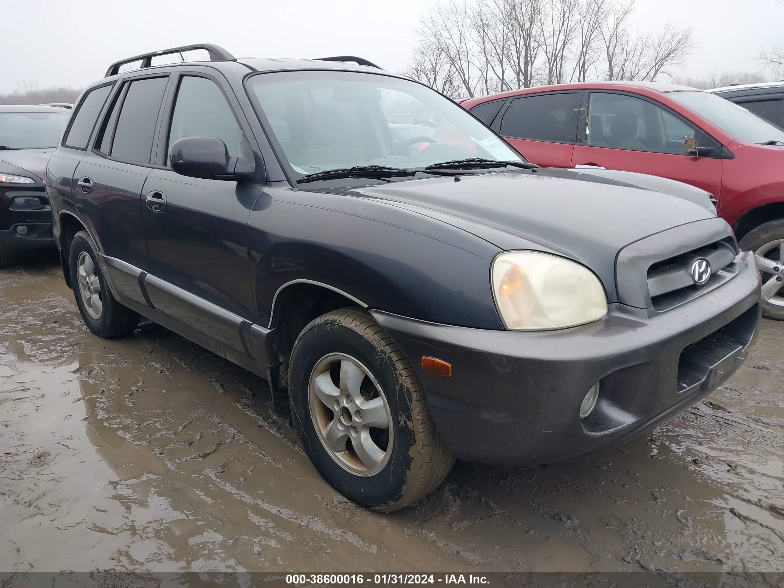 hyundai santa fe 2005 km8sc13d55u989381