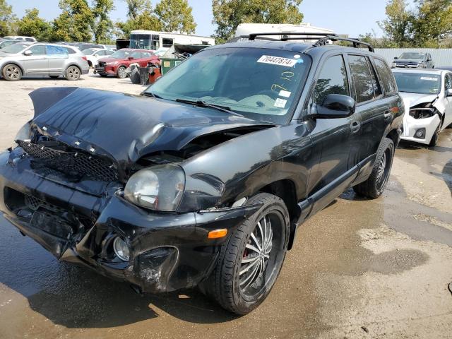 hyundai santa fe g 2003 km8sc13d63u360869