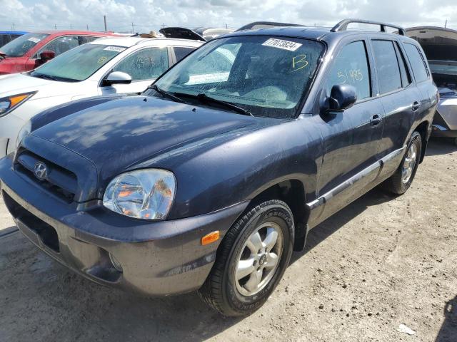 hyundai santa fe g 2005 km8sc13d65u957846